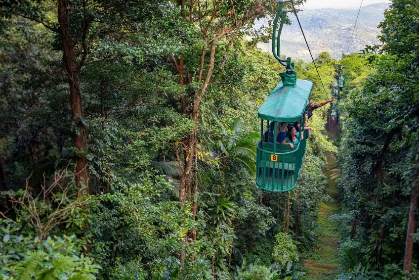 Best St. Lucia's Adventure Activities: Rainforest Adventures Aerial Tram