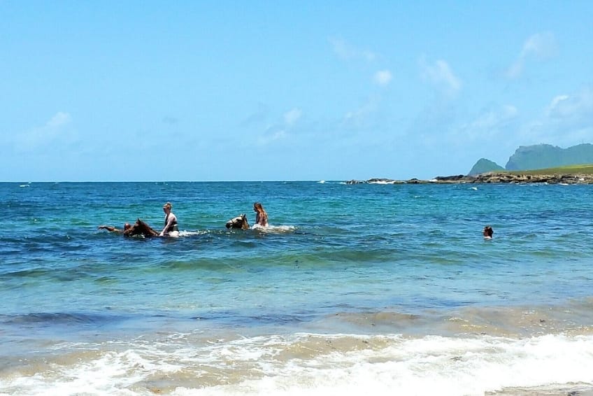 Best St. Lucia's Adventure Activities: Atlantic Shores Riding Stables