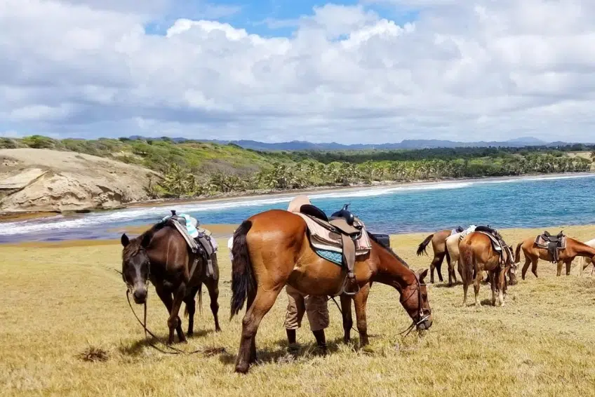 Best St. Lucia's Adventure Activities: Atlantic Shores Riding Stables