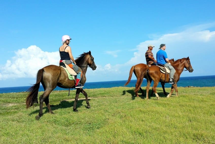 Best St. Lucia's Adventure Activities: Atlantic Shores Riding Stables