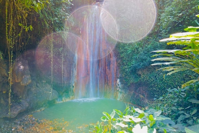 Best St. Lucia's Hiking & Nature Activities: Diamond Falls Botanical Gardens