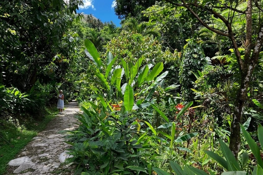 Best St. Lucia's Hiking & Nature Activities: Diamond Falls Botanical Gardens