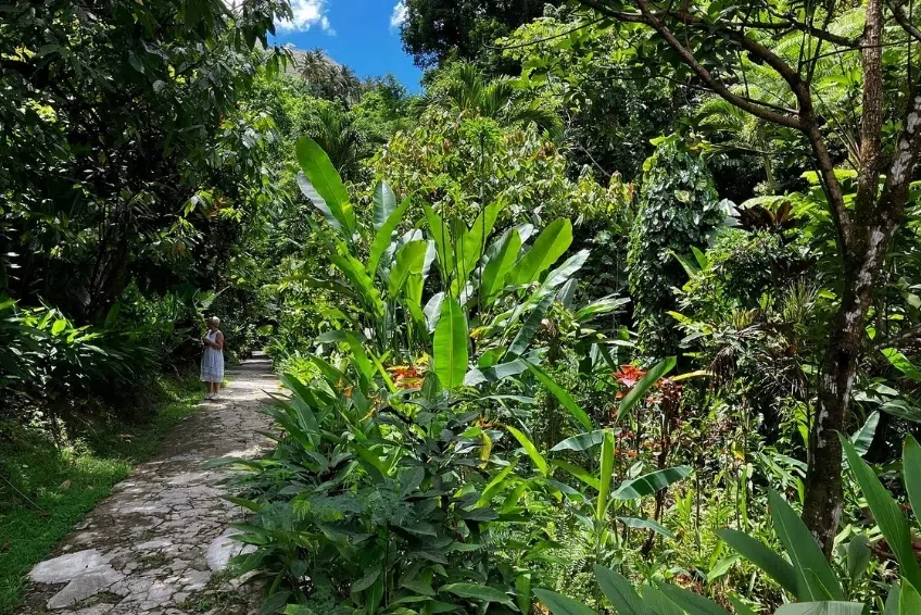 Best St. Lucia's Hiking & Nature Activities: Diamond Falls Botanical Gardens