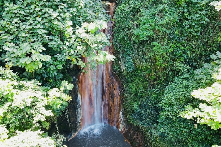 Best St. Lucia's Hiking & Nature Activities: Diamond Falls Botanical Gardens