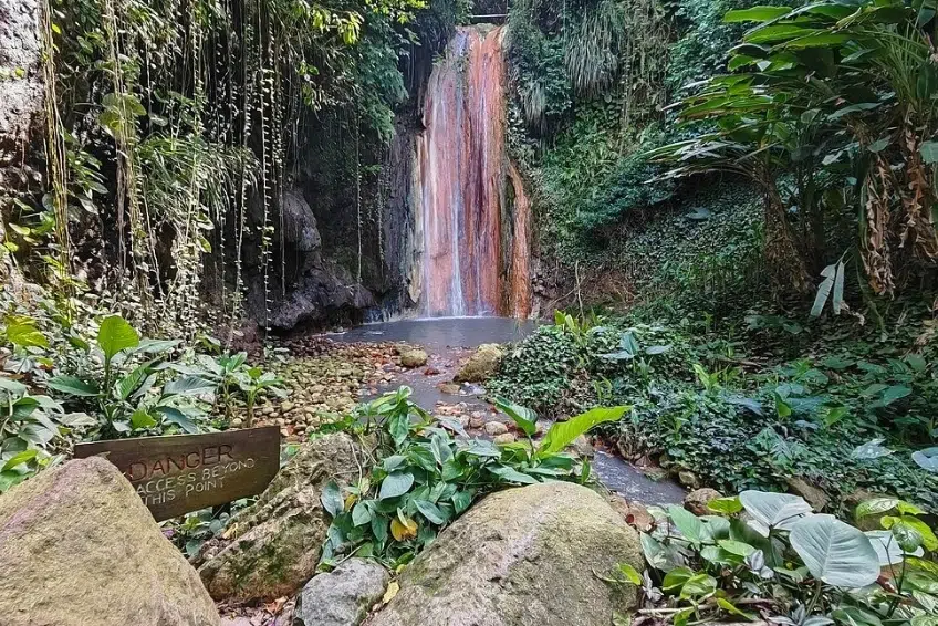 Best St. Lucia's Hiking & Nature Activities: Diamond Falls Botanical Gardens