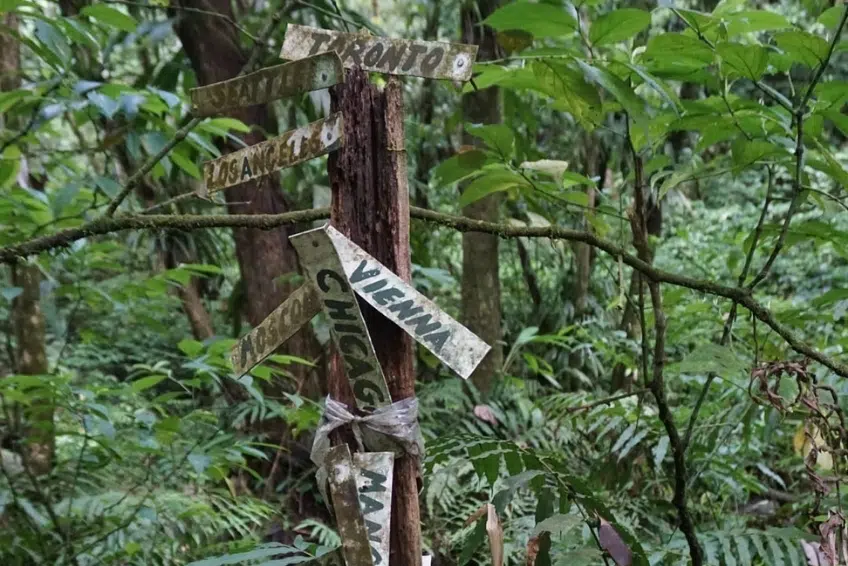 Best St. Lucia's Hiking & Nature Activities: Enbas Saut Waterfall Trail