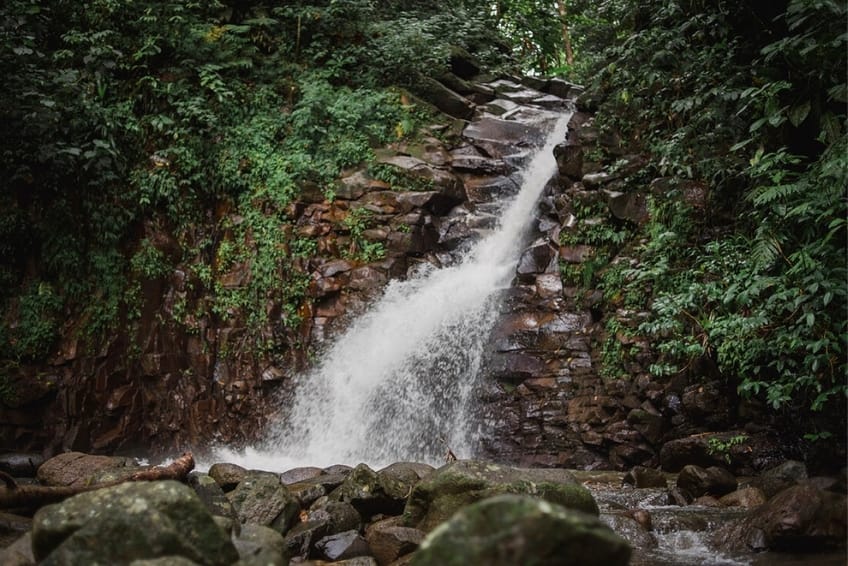 Best St. Lucia's Hiking & Nature Activities: Enbas Saut Waterfall Trail