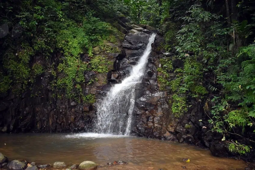 Best St. Lucia's Hiking & Nature Activities: Enbas Saut Waterfall Trail