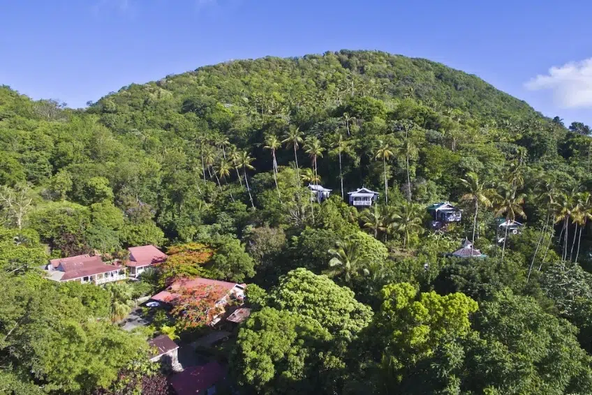 Best St. Lucia Boutique Hotels: Fond Doux Eco Resort