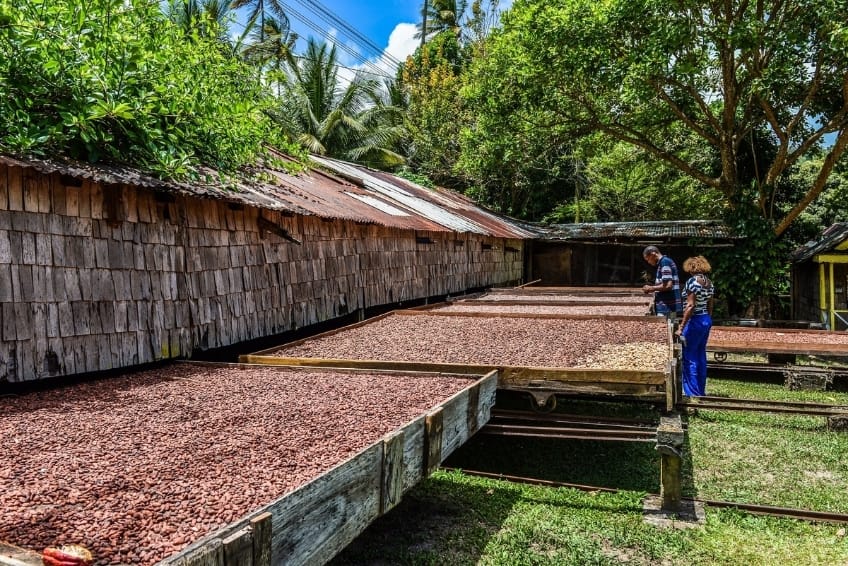 Best St. Lucia Boutique Hotels: Fond Doux Eco Resort