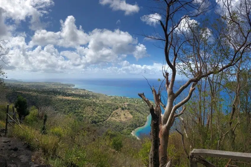 Best St. Lucia's Hiking & Nature Activities: Gros Piton Nature Trail