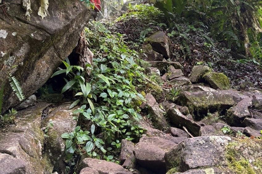 Best St. Lucia's Hiking & Nature Activities: Gros Piton Nature Trail