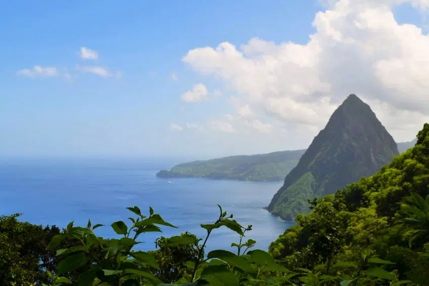 Best St. Lucia's Hiking & Nature Activities: Gros Piton Nature Trail