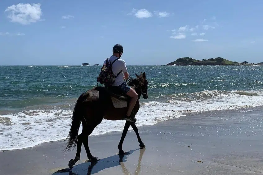Best St. Lucia's Adventure Activities: Sandy Hoofs St. Lucia