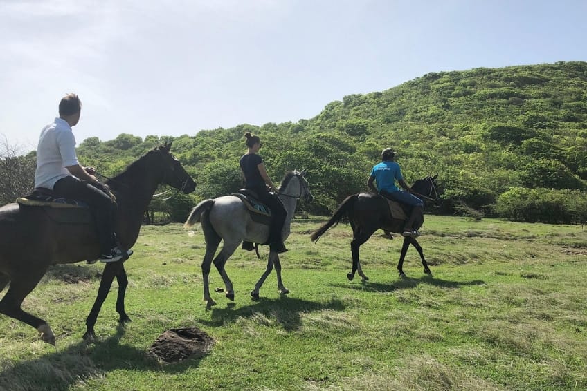 Best St. Lucia's Adventure Activities: Sandy Hoofs St. Lucia