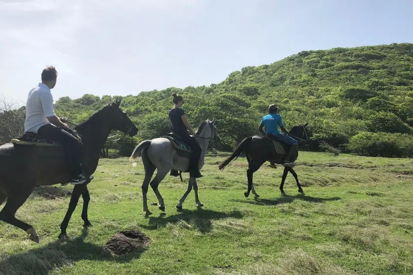 Best St. Lucia's Adventure Activities: Sandy Hoofs St. Lucia