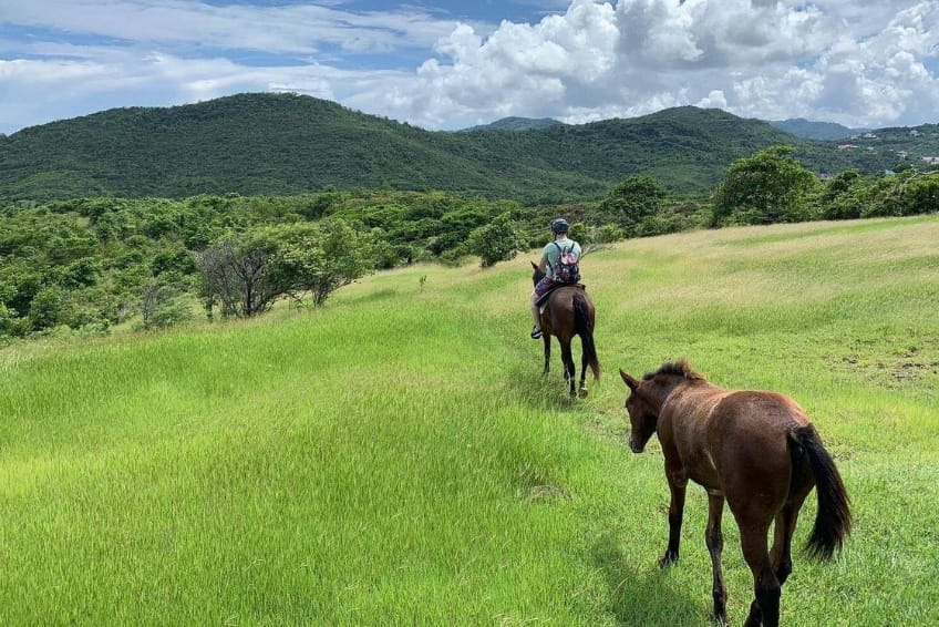 Best St. Lucia's Adventure Activities: Sandy Hoofs St. Lucia