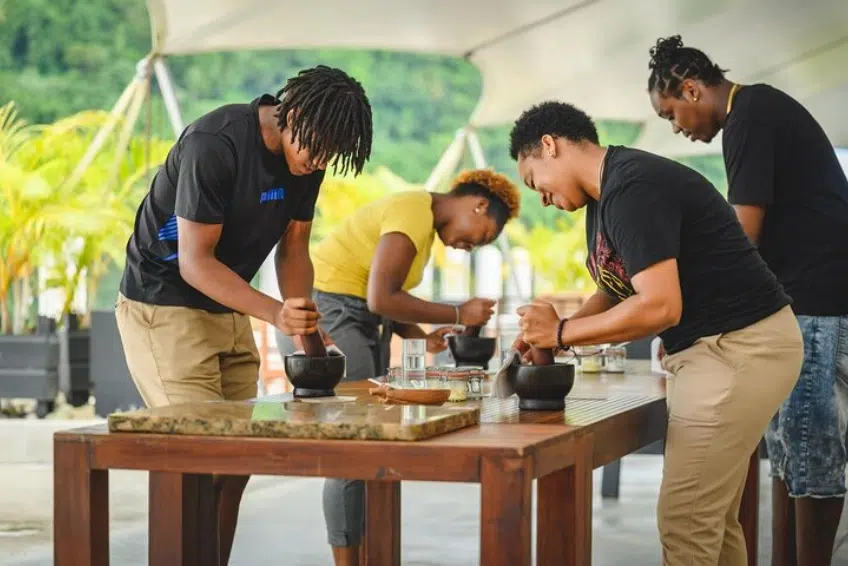 Best St. Lucia Cultural Activities: Hotel Chocolat Estate