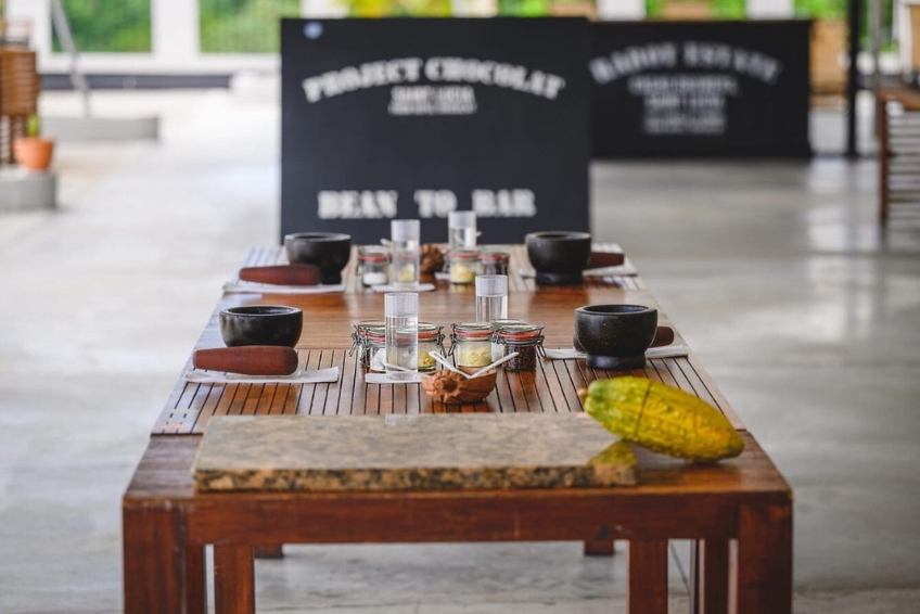 Best St. Lucia Cultural Activities: Hotel Chocolat Estate