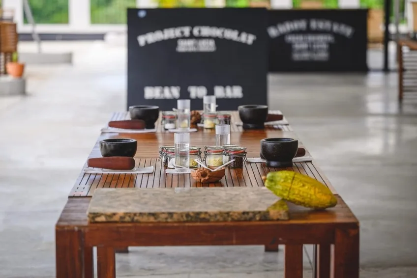 Best St. Lucia Cultural Activities: Hotel Chocolat Estate