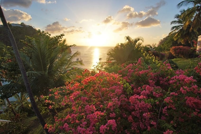 Best St. Lucia Budget Hotels: Marigot Beach Club & Dive Resort