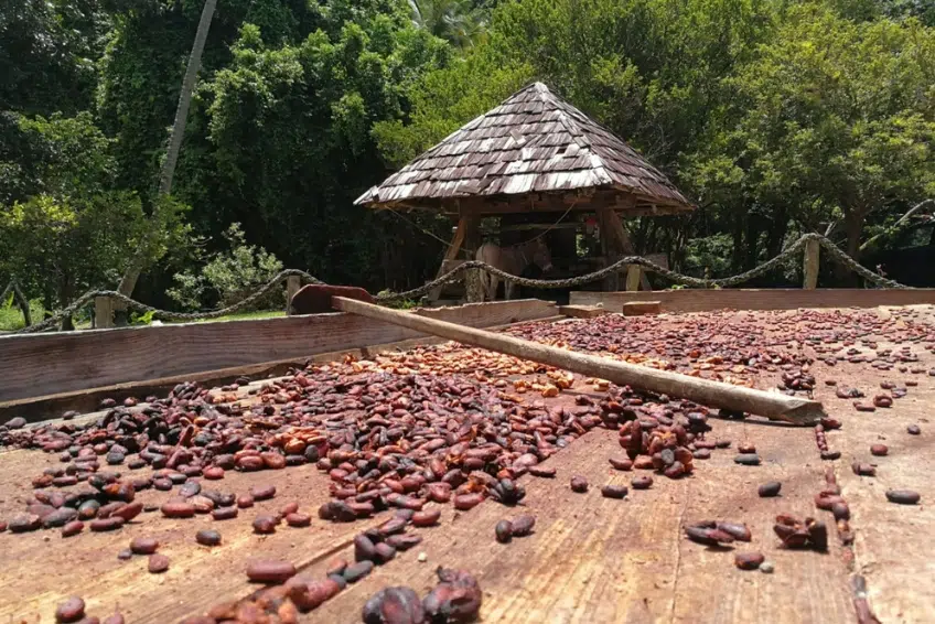 Best St. Lucia Cultural Activities: Morne Coubaril Estate