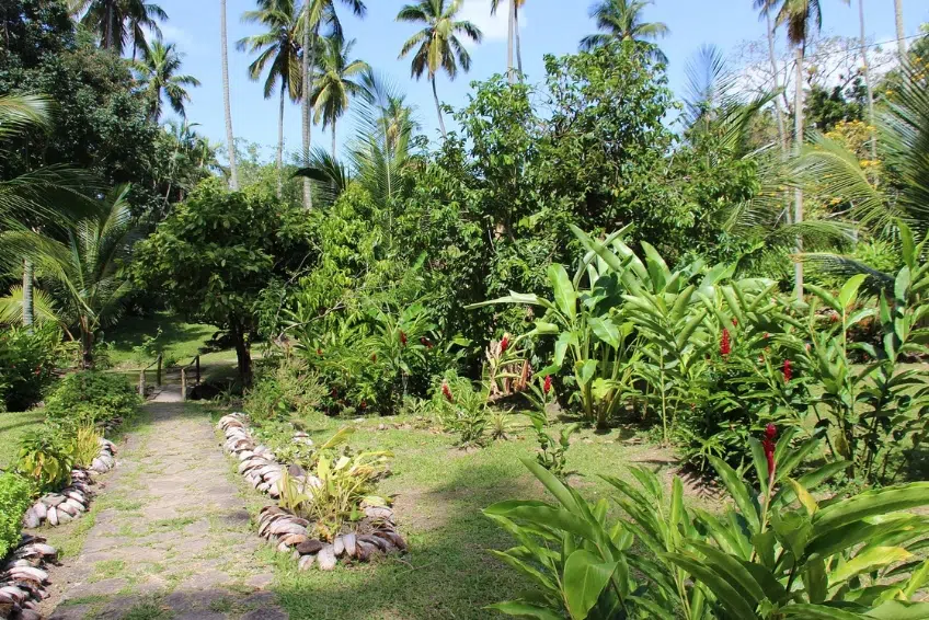 Best St. Lucia Cultural Activities: Morne Coubaril Estate