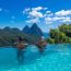 Best St. Lucia Budget Hotels: Samfi Gardens