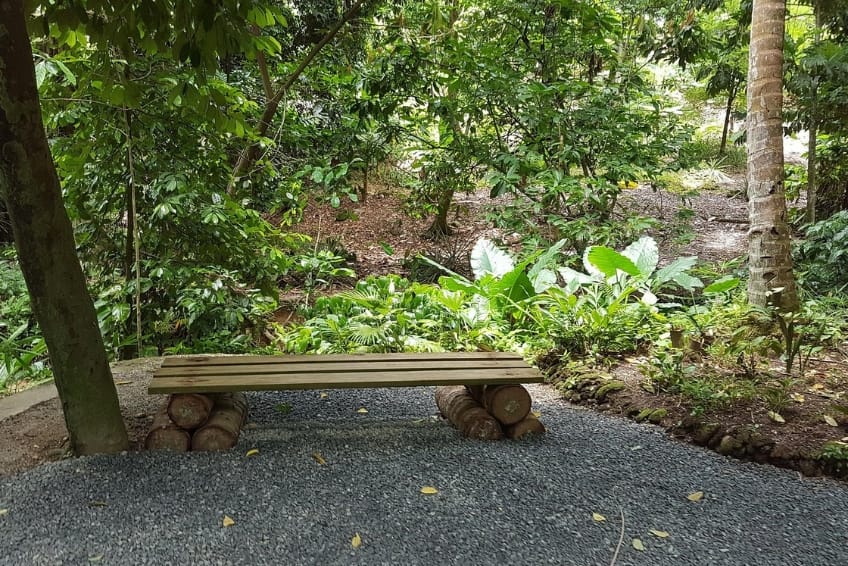 Best St. Lucia's Adventure Activities: Sulphur Springs - The Mud Bath Adventure