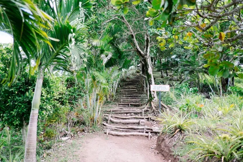 Best St. Lucia's Hiking & Nature Activities: Tet Paul Nature Trail
