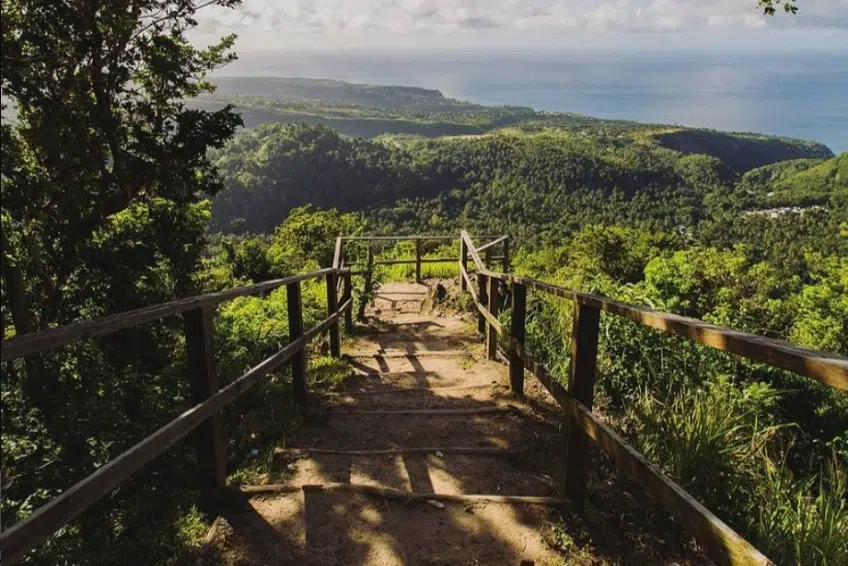 Best St. Lucia's Hiking & Nature Activities: Tet Paul Nature Trail