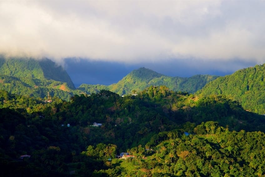 Best St. Lucia's Hiking & Nature Activities: Tet Paul Nature Trail