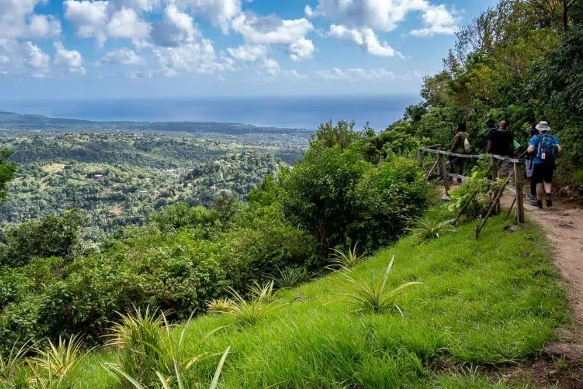 Best St. Lucia's Hiking & Nature Activities: Tet Paul Nature Trail