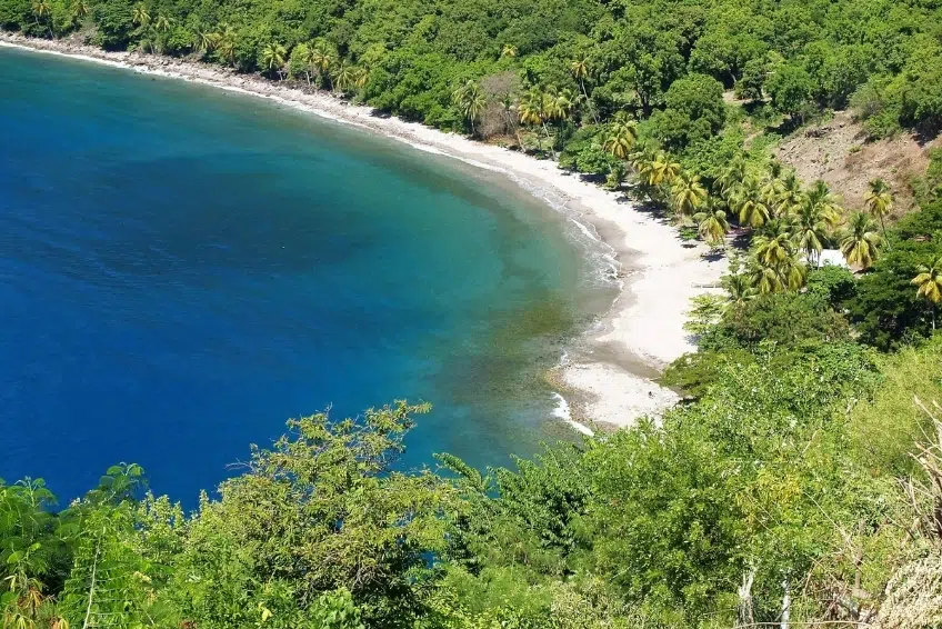 Best St. Lucia Boutique Hotels: Tet Rouge Resort