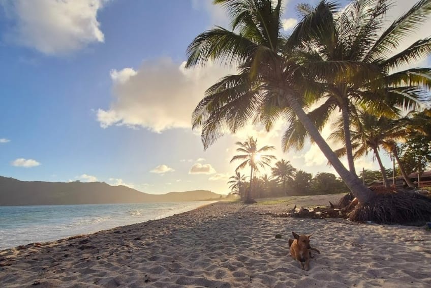 Best St. Lucia Budget Hotels: The Reef Beach Huts