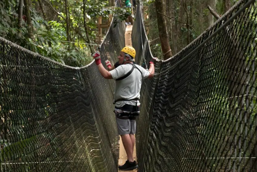 Best St. Lucia's Adventure Activities: Treetop Adventure Park