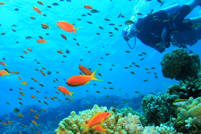 Best St. Lucia Water Activities: