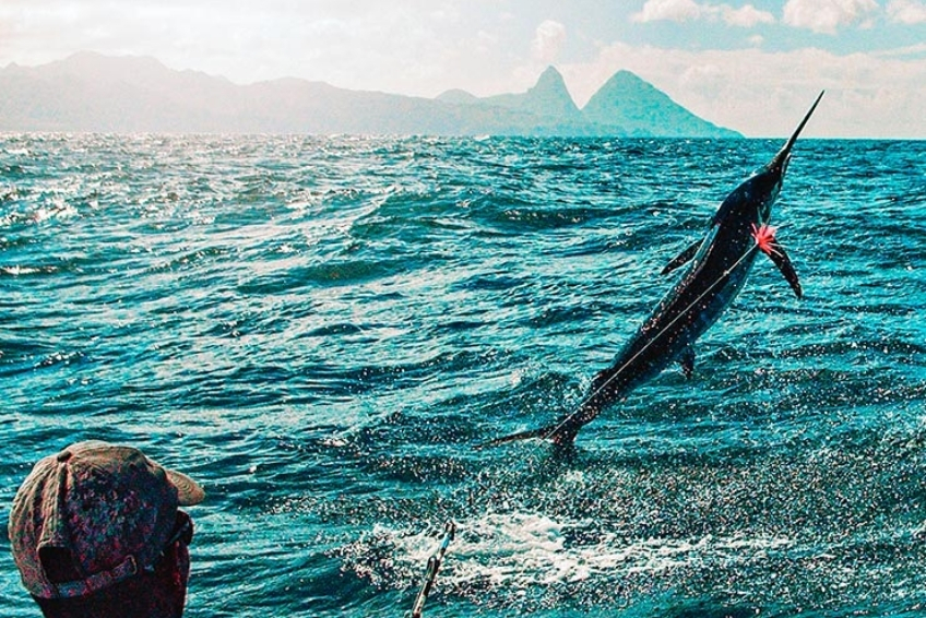 Best St. Lucia Water Activities: Deep-Sea Sport Fishing