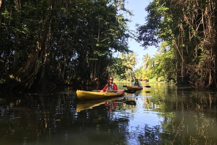 Best St. Lucia Water Activities: Kayaking Through Mangrove Sanctuaries