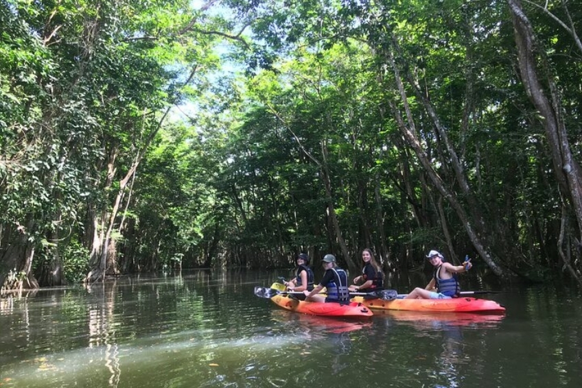 Best St. Lucia Water Activities: Kayaking Through Mangrove Sanctuaries