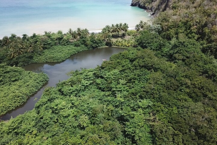Best St. Lucia Water Activities: Kayaking Through Mangrove Sanctuaries