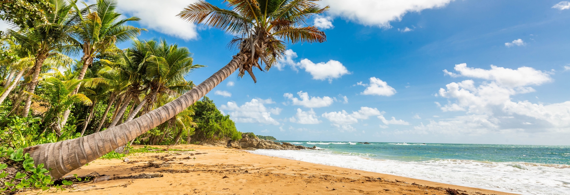 Puerto Rico Visitors Guide