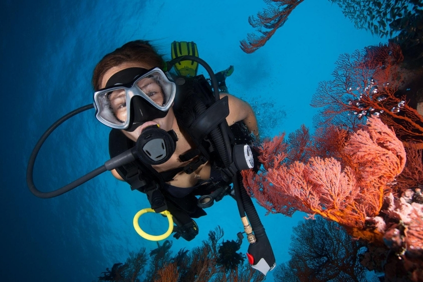 Best St. Lucia Water Activities: Scuba Diving