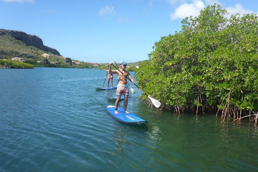 Best St. Lucia Water Activities: Stand-Up Paddleboarding and Water Sports