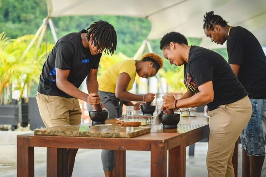 Best St. Lucia Rainy Day Activities: Tree-to-Bar Chocolate Experiences at Working Cacao Estate