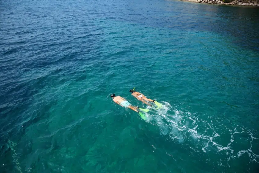 Two snorkelers swimming in vibrant turquoise Caribbean water in Aruba with snorkel gear and fins, viewed from above