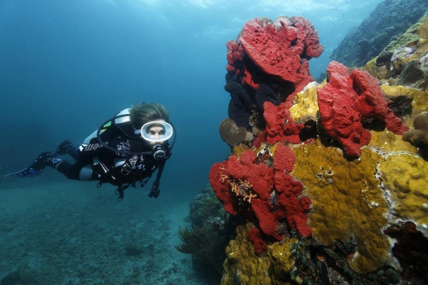 The 7 Best St. Lucia Beaches - Anse Chastanet Beach