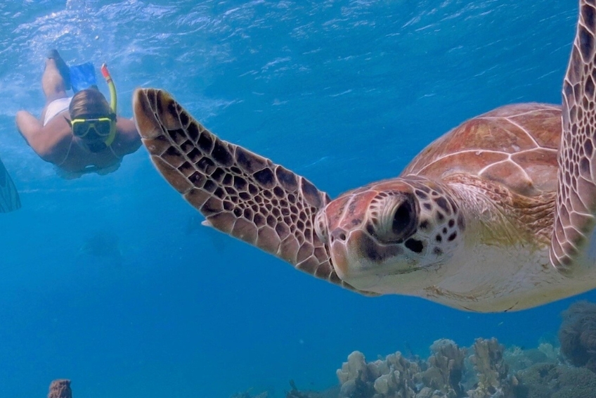 Best St. Lucia Water Activities