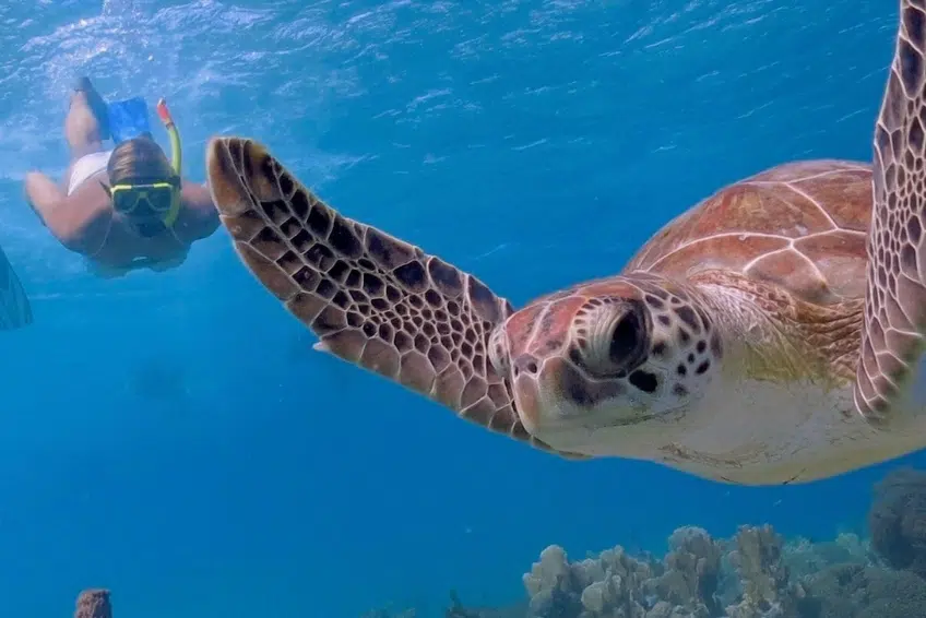 Best St. Lucia Water Activities