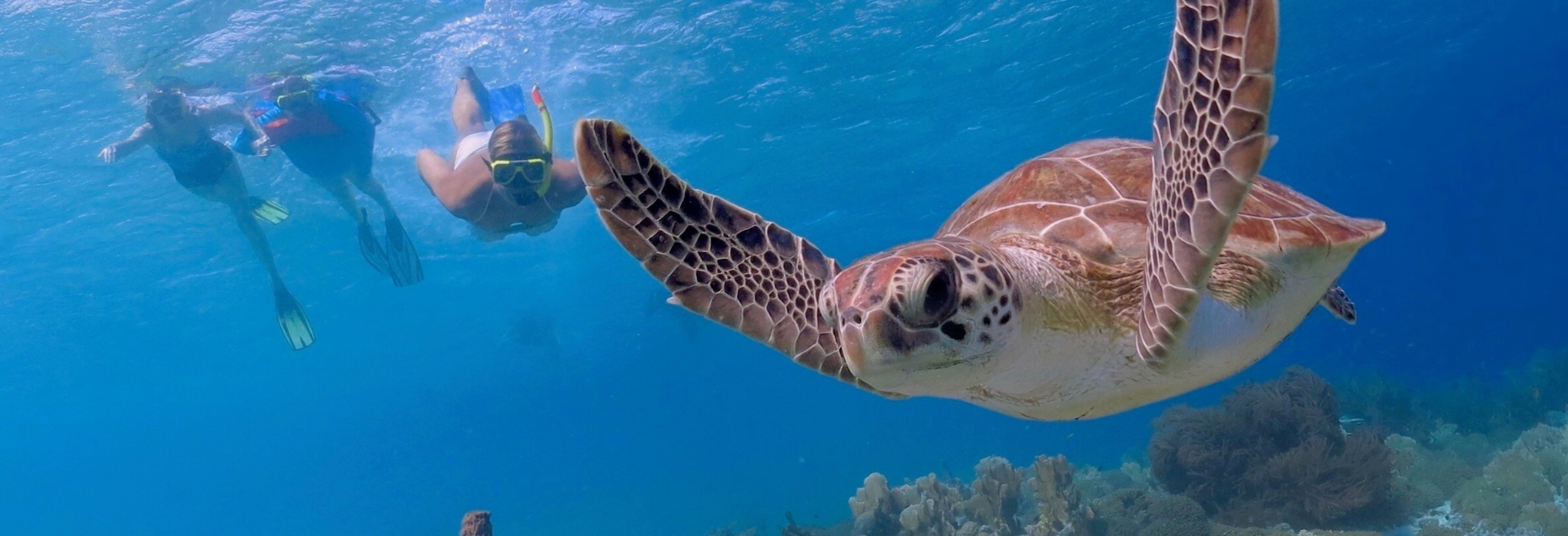 Best St. Lucia Water Activities